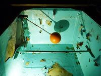 Steel & Fibreglass Water Tank Lining - Before Treatment Steel & Fibreglass Water Tank Lining - Before Treatment