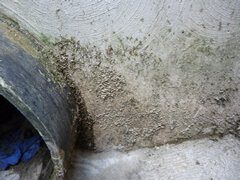 Concrete Final Effluent Chamber - Before treatment