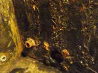 Cast iron & galvanised steel water tank - Before Water Tank Lining Treatment Cast iron & galvanised steel water tank - Before Water Tank Lining Treatment