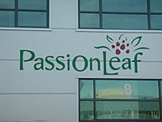 Passion Leaf