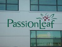 Passion Leaf Frame